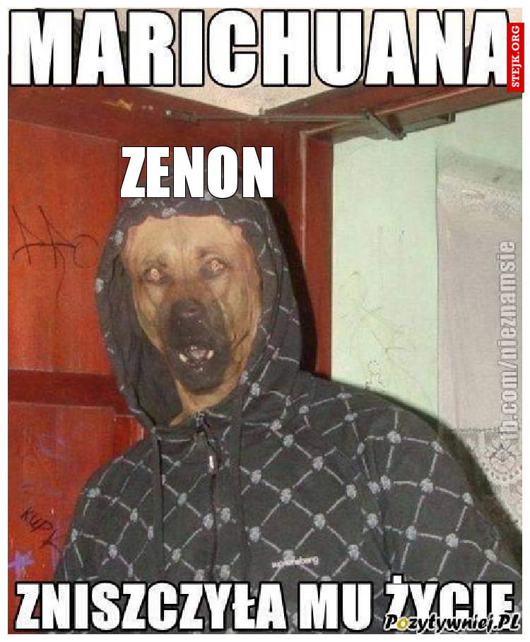 ZENON