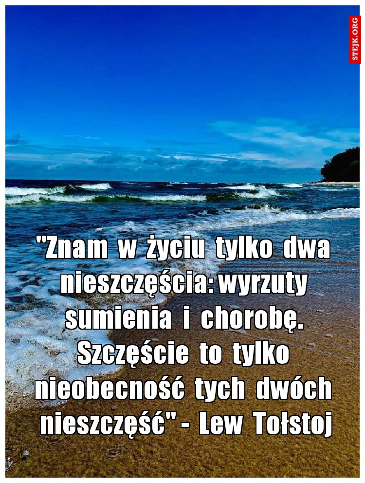 "Znam  w  życiu  tylko  dwa  nieszczęścia: wyrzuty  sumienia  i  chorobę.  Szczęście  to  tylko  nieobecność  tych  dwóch  nieszczęść" -  Lew  Tołstoj