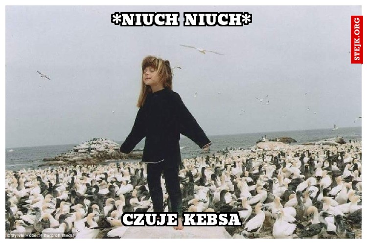 *niuch niuch*