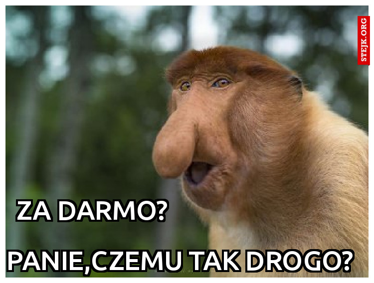 Za darmo?