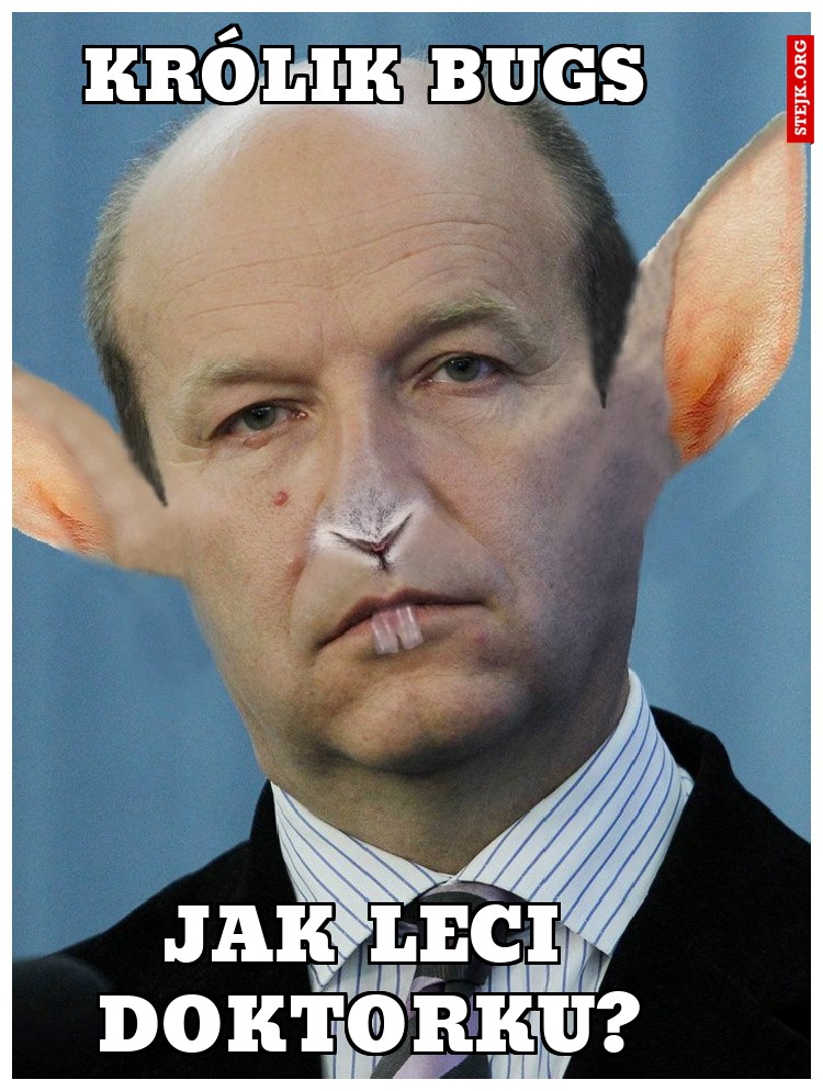 królik bugs