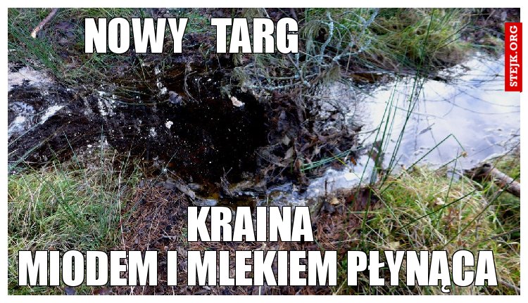 nowy   targ