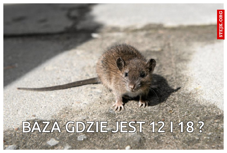 baza gdzie jest 12 i 18 ?