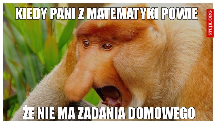 KIEDY PANI Z MATEMATYKI POWIE