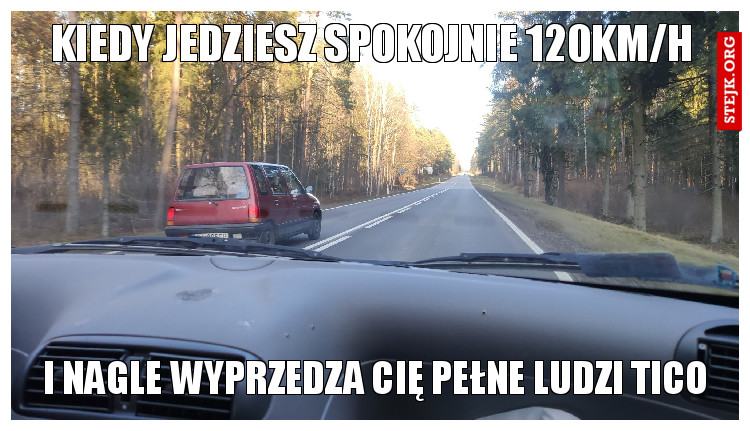 Najlepsze Memy Stejk