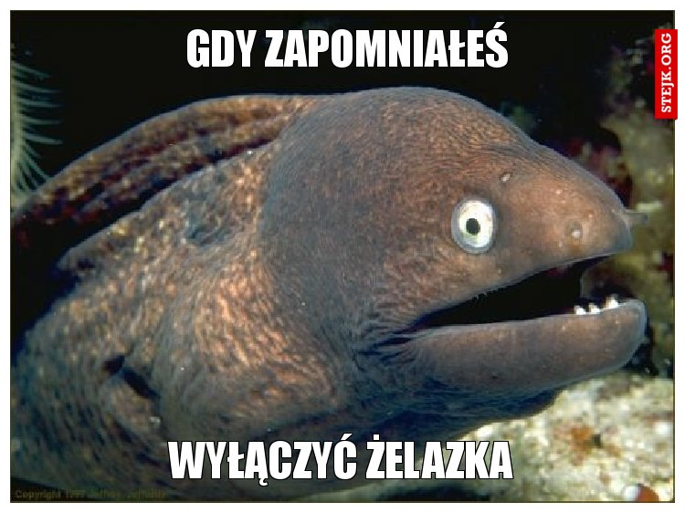 To jest prawdziwa maszyna