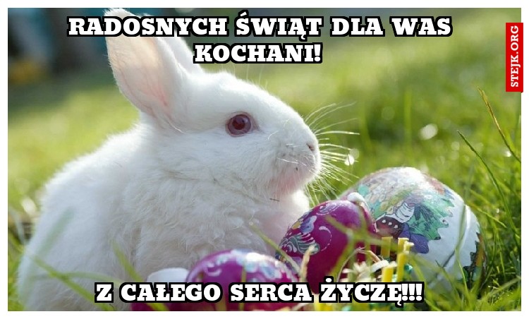 Radosnych Świąt dla was kochani! 