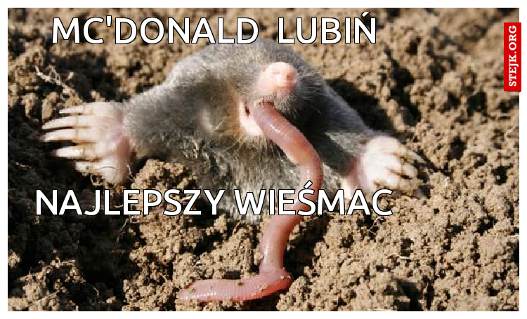 mc'donald  lubiń