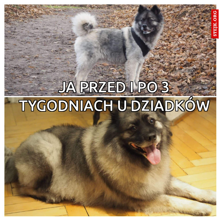 Ja przed i po 3 tygodniach u dziadków