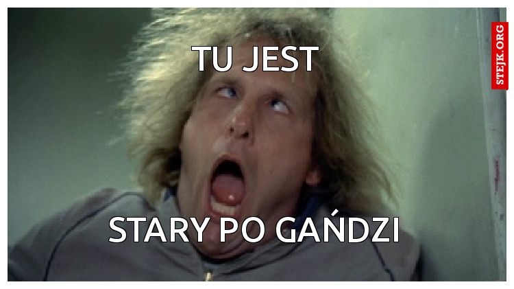 Tu jest