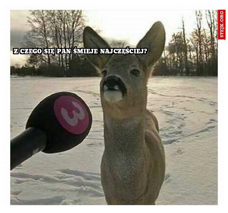 Z czego się pan śmieje najczęściej?