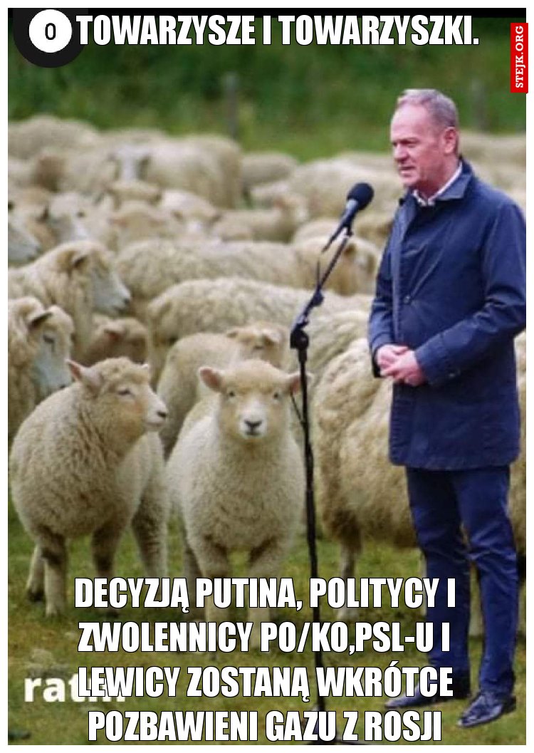 Towarzysze i towarzyszki.