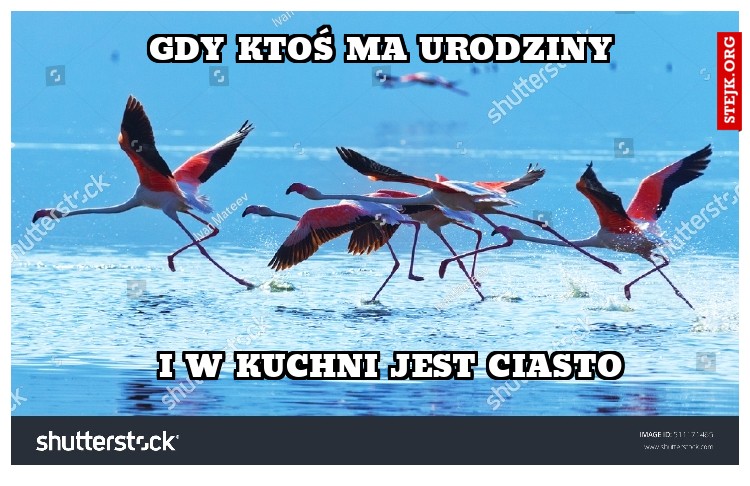 GDY KTOŚ MA URODZINY