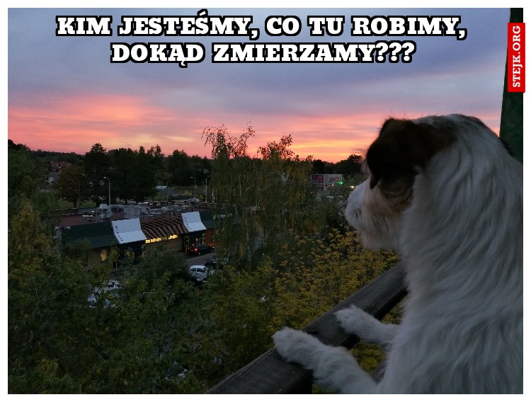 KIm jesteśmy, co tu robimy, dokąd zmierzamy???