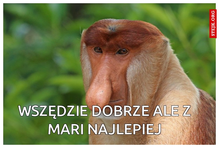 Wszędzie dobrze ale z Mari najlepiej