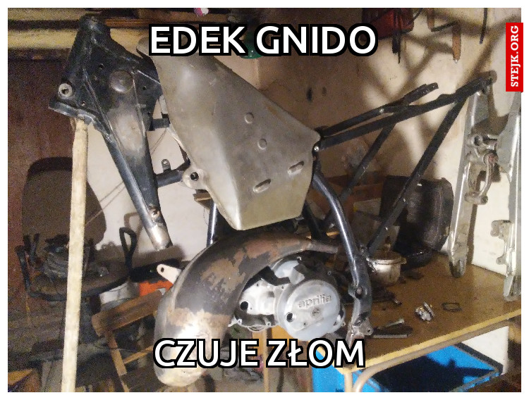 EDEK GNIDO