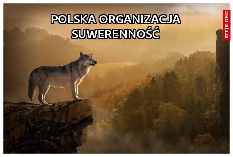polska organizacja suwerenność
