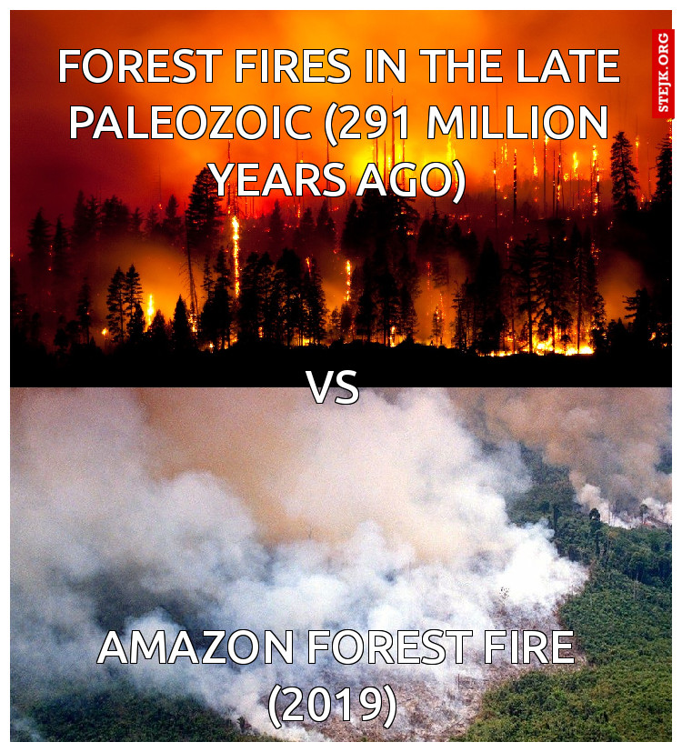  Amazon Forest Fire (2019)