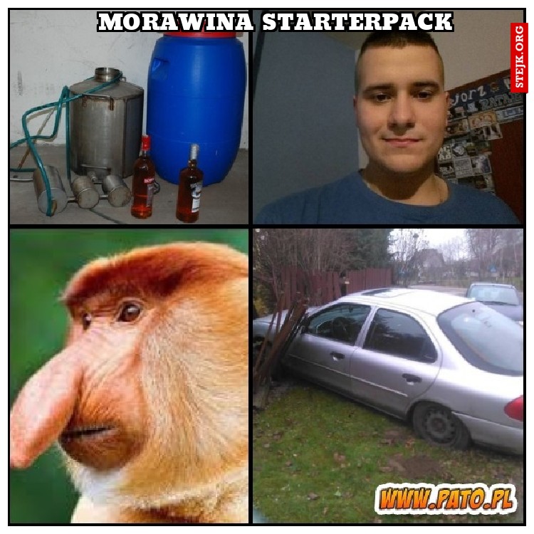 MORAWINA STARTERPACK