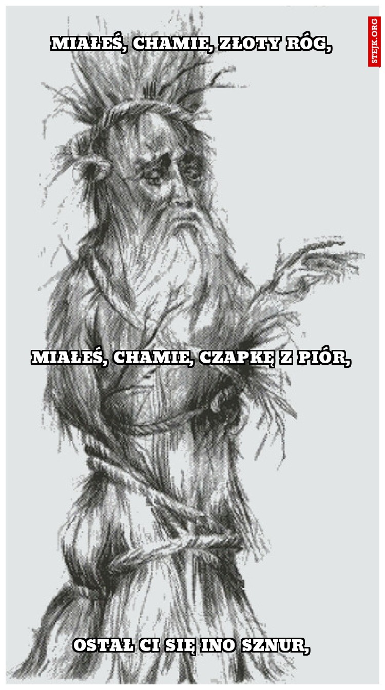 MIAŁEŚ, CHAMIE, złoty róg,