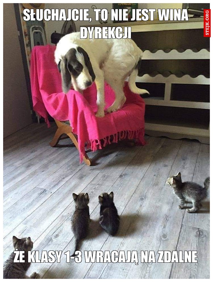SŁUCHAJCIE, TO NIE JEST WINA DYREKCJI