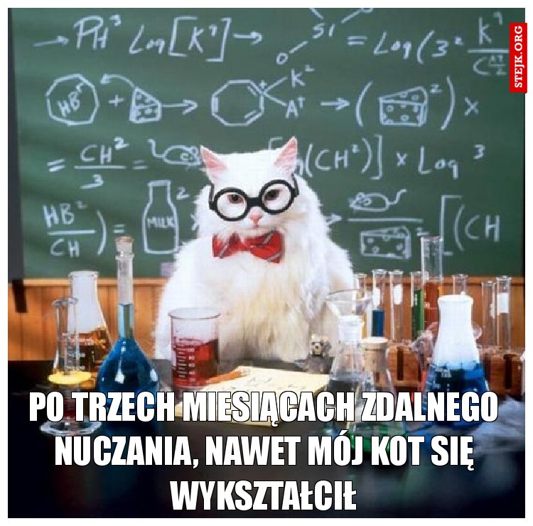 PO trzech miesiącach zdalnego nUCZANIA, Nawet mój kot się wykształcił