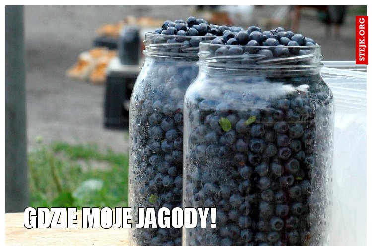 GDZIE MOJE JAGODY!