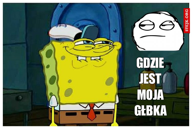 GDZIE JEST MOJA GŁBKA