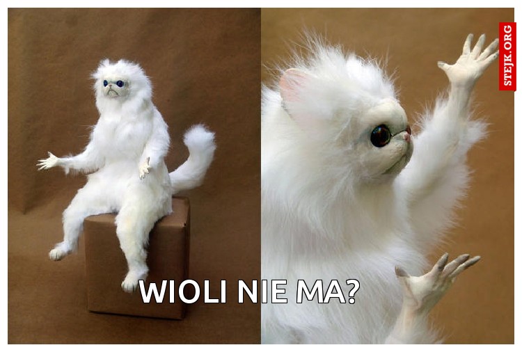 Wioli nie ma?