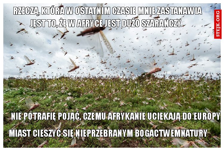 Rzeczą, która w ostatnim czasie mnie zastanawia
