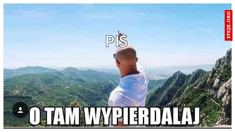Pis