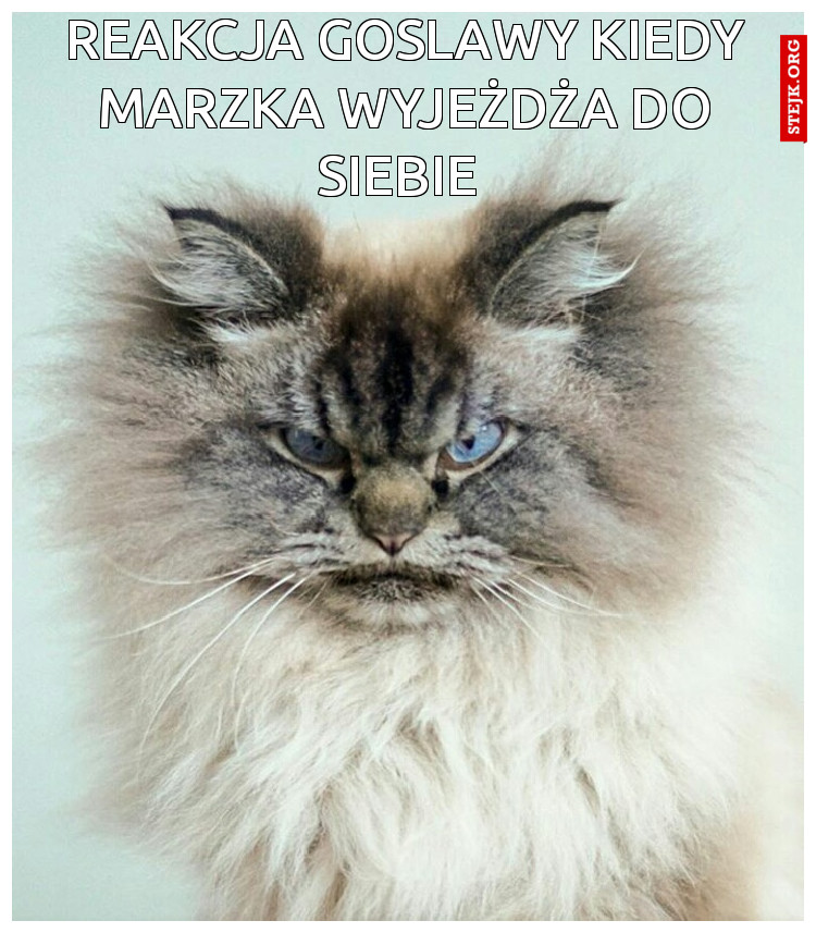 Reakcja Goslawy kiedy Marzka wyjeżdża do siebie 