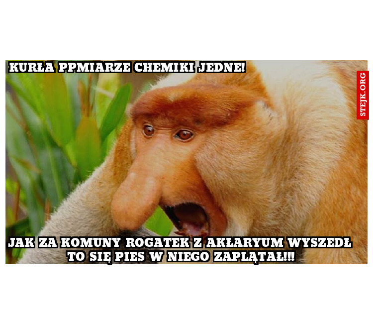 Kurła ppmiarze chemiki jedne!