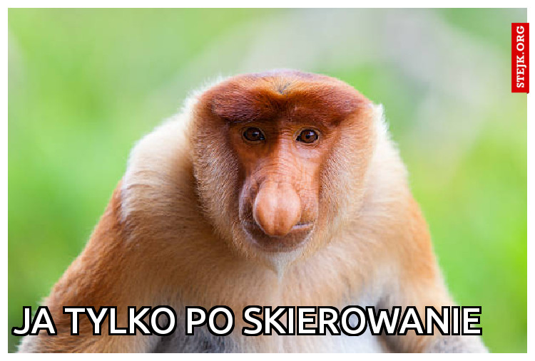 Ja tylko po skierowanie 
