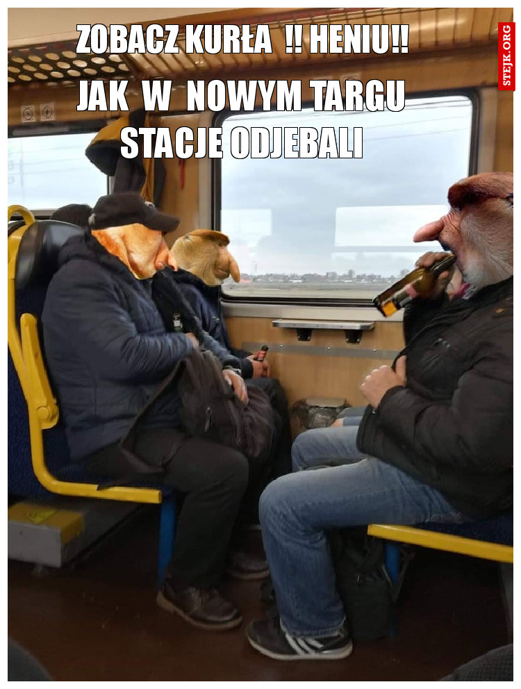 zobacz kurła  !! heniu!!