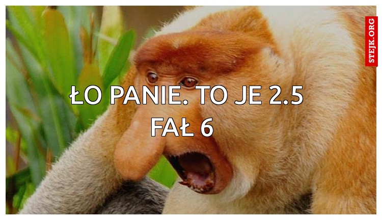 Ło panie. To je 2.5 Fał 6  