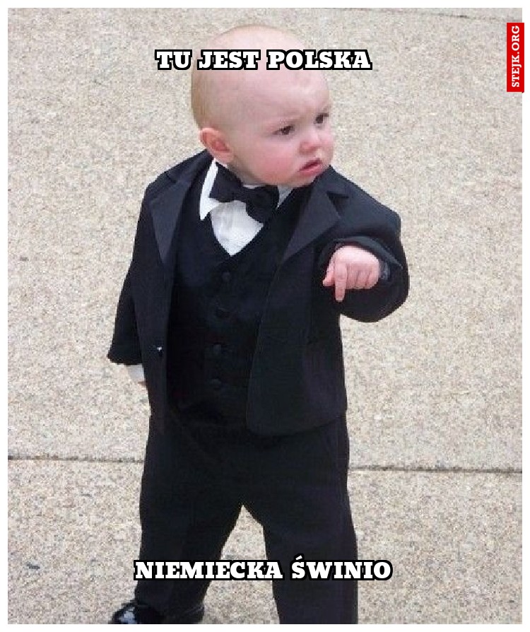 tu jest polska