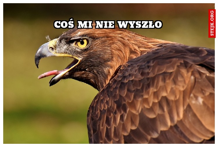 coś mi nie wyszło