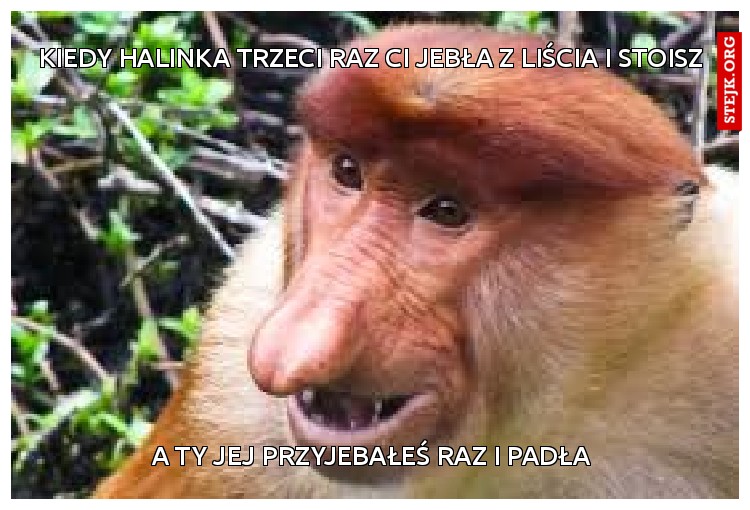 kiedy halinka trzeci raz ci jebła z liścia i stoisz