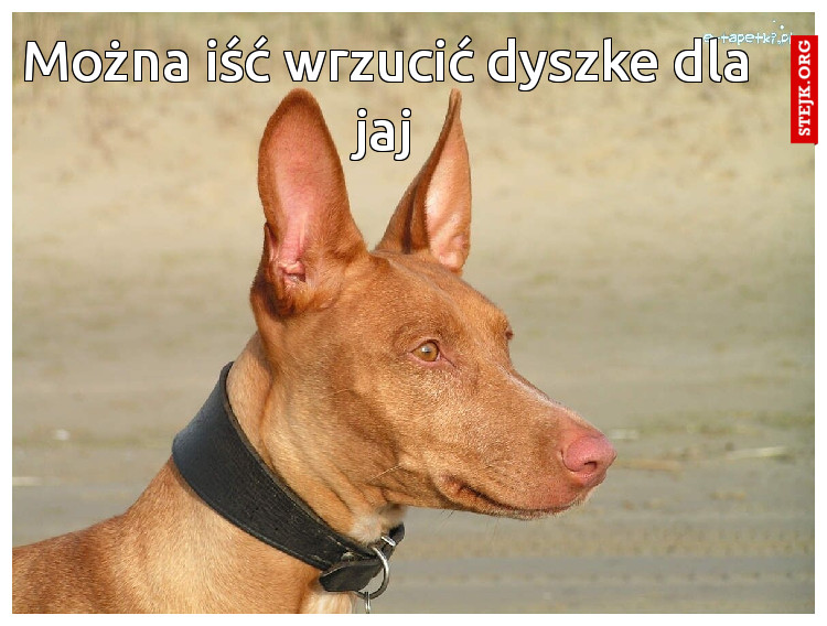 Można iść wrzucić dyszke dla jaj