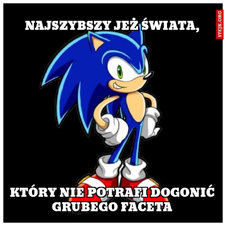 Najszybszy jeż świata,