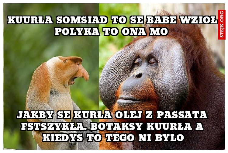 kuurła somsiad to se babe wzioł polyka to ona mo 