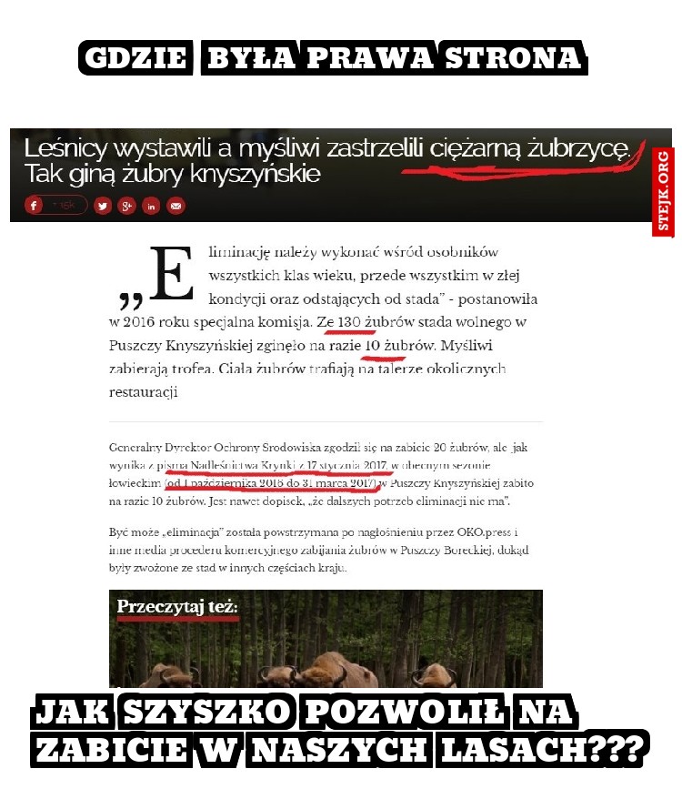 Jak szyszko pozwolił na zabicie w naszych lasach???