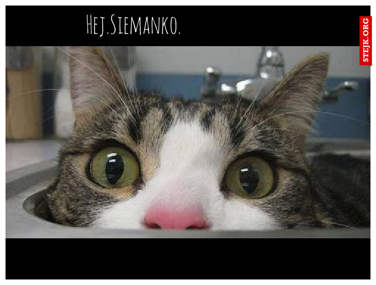 Hej.Siemanko.