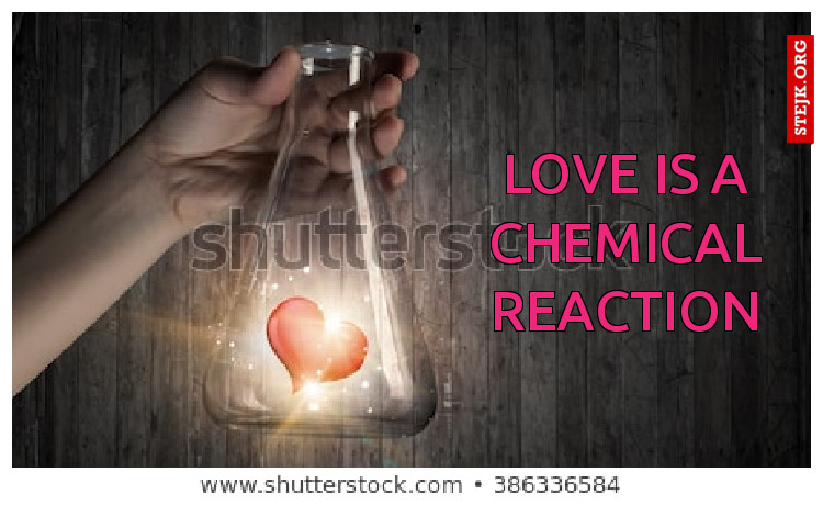 love is a chemical reaction