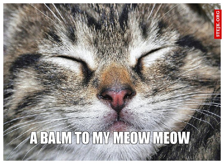 A BALM TO MY MEOW MEOW
