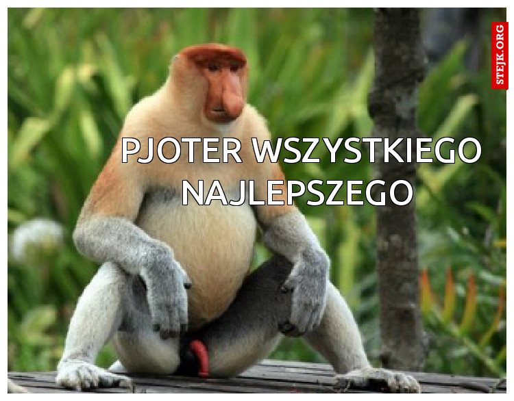 Pjoter Wszystkiego Najlepszego 