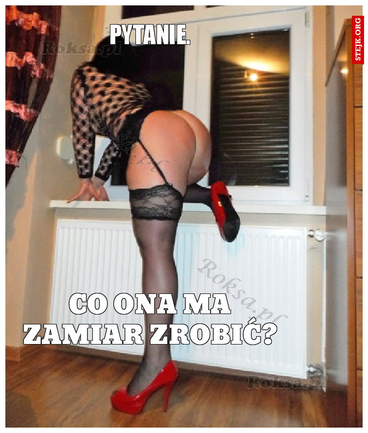 Pytanie.