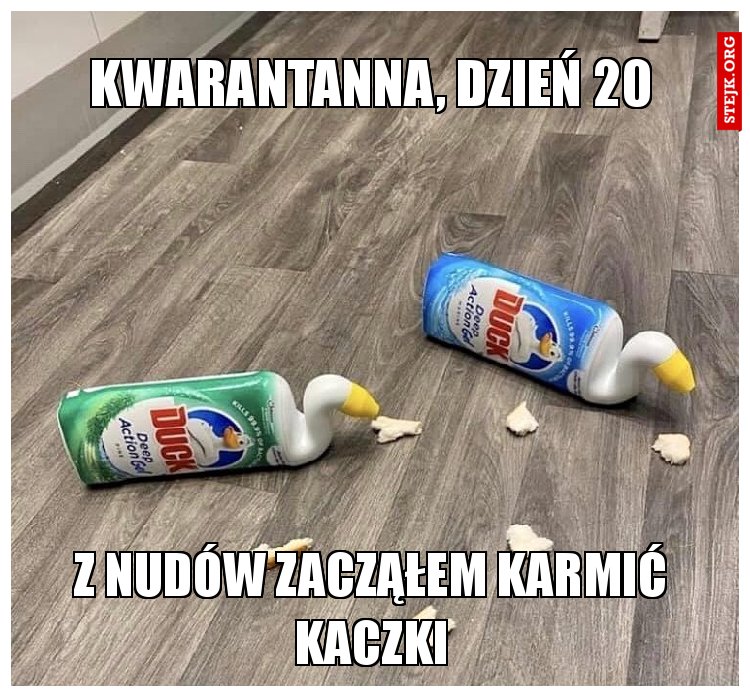 Kwarantanna, dzień 20