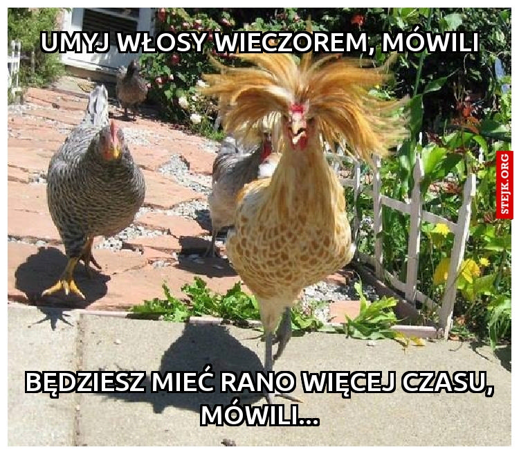 UMYJ WŁOSY WIECZOREM, MÓWILI